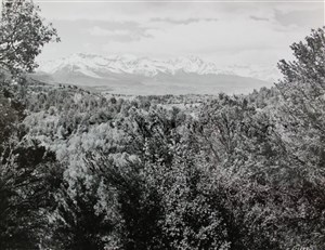 Image description is not available for 2007.043